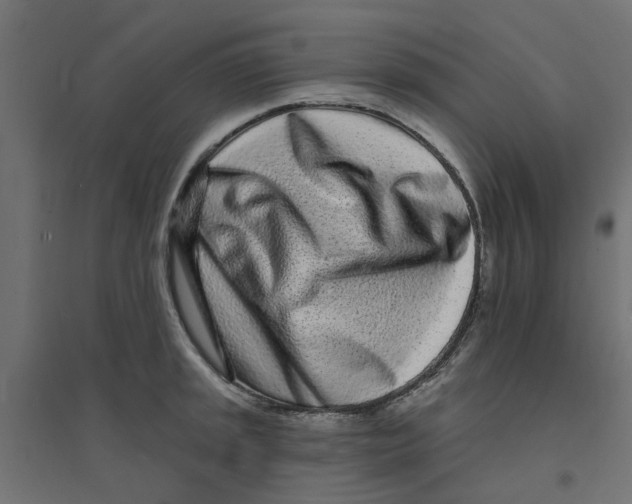 X0000094331045200711241825