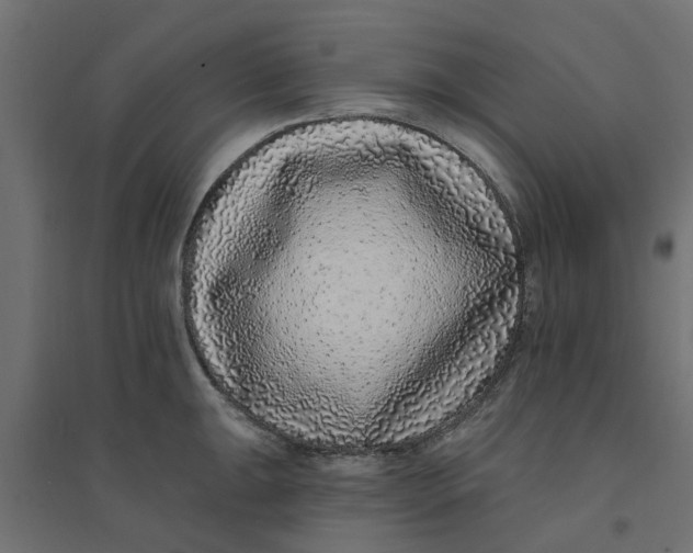 X0000094331047200711241825