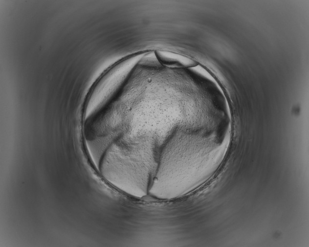 X0000094331048200711241825