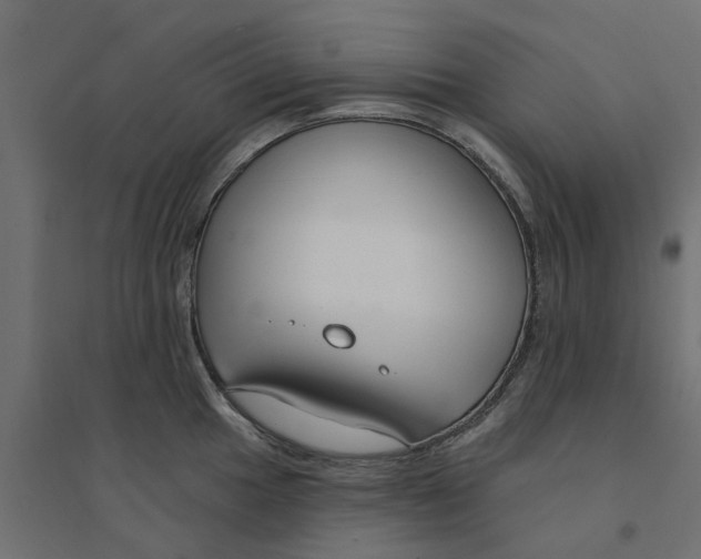 X0000094331049200711241825