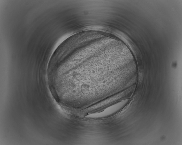 X0000094331050200711241825