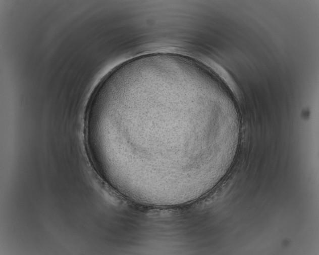 X0000094331051200711241825