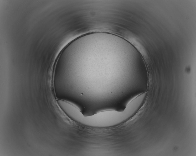 X0000094331052200711241825