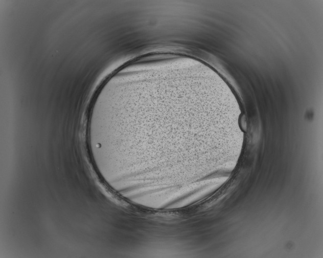 X0000094331053200711241825