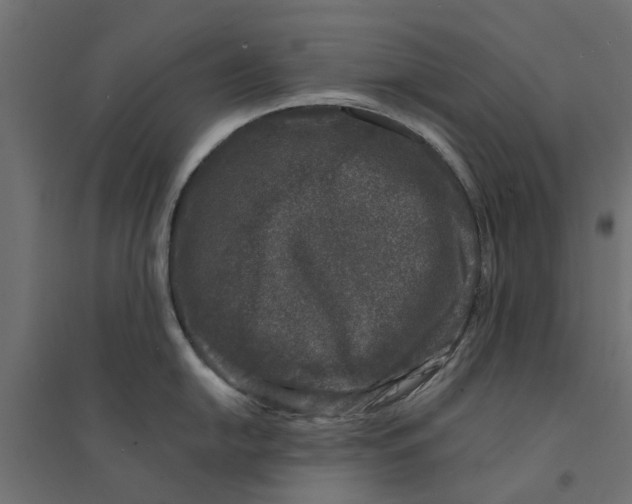 X0000094331054200711241825