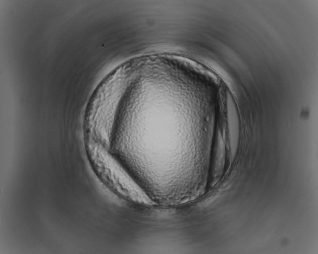 X0000094331055200711241825