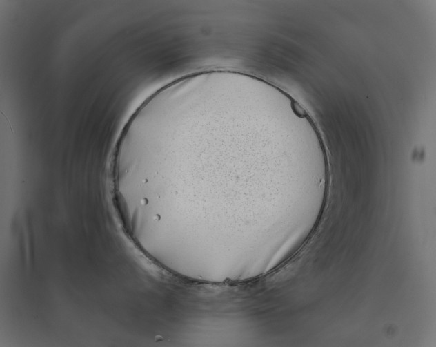 X0000094331056200711241825