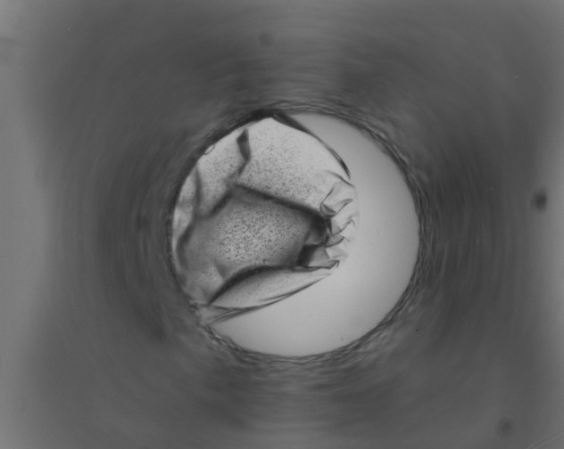 X0000094331057200711241824