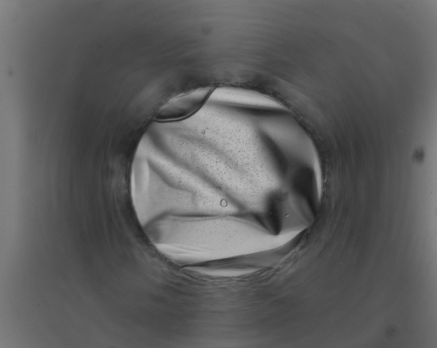 X0000094331058200711241824