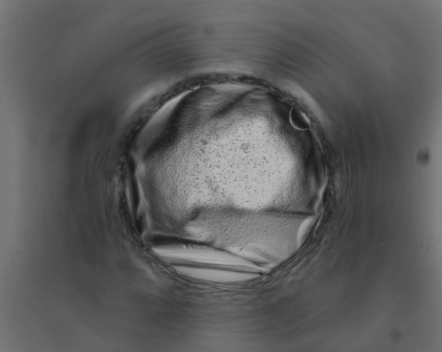 X0000094331064200711241824