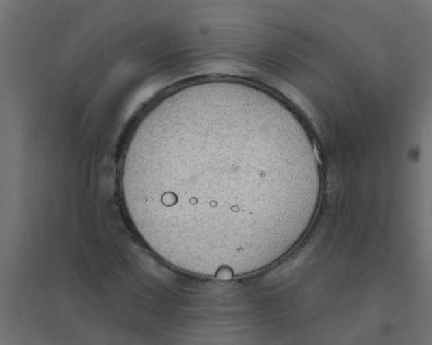 X0000094331067200711241824