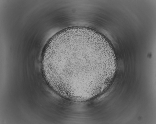 X0000094331071200711241824