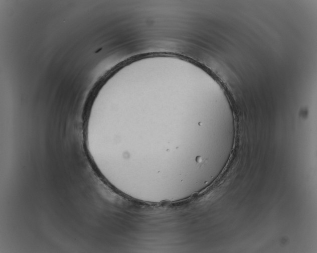 X0000094331072200711241824