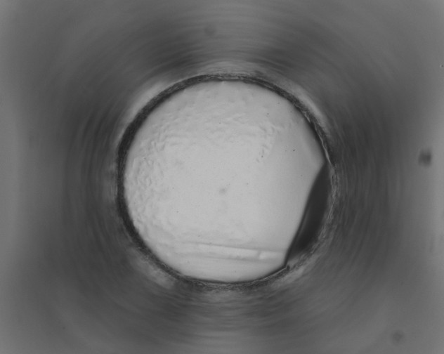 X0000094331075200711241824
