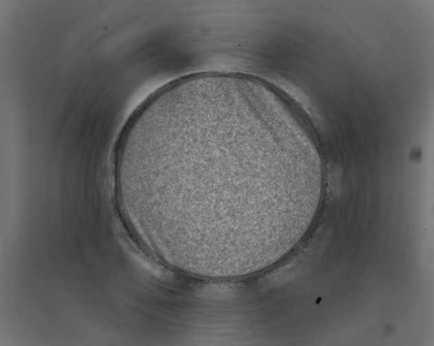 X0000094331078200711241824