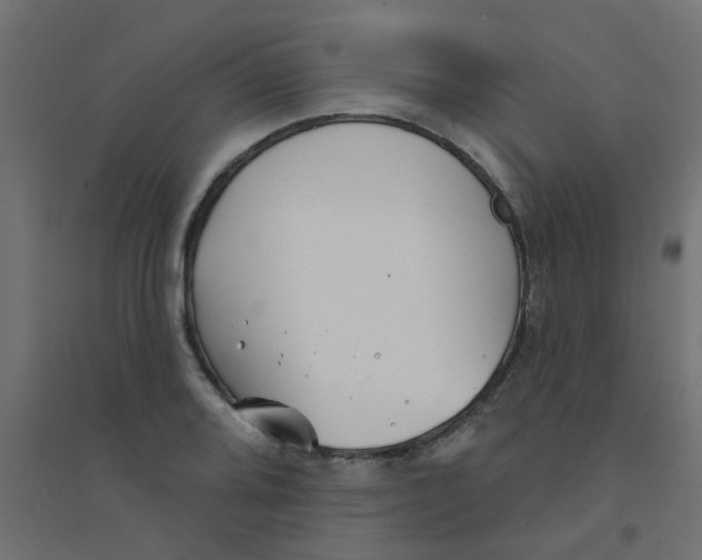 X0000094331080200711241824