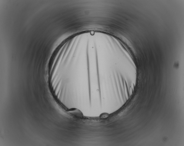 X0000094331082200711241824