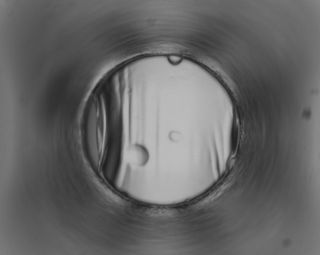 X0000094331083200711241824