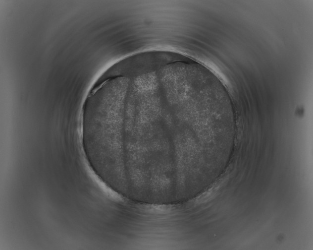 X0000094331084200711241824