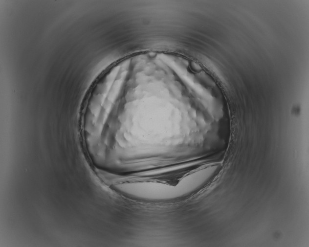 X0000094331087200711241824
