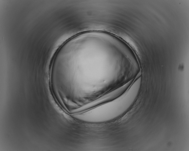 X0000094331088200711241824