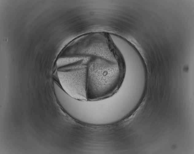 X0000094331089200711241824