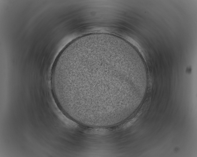 X0000094331090200711241824