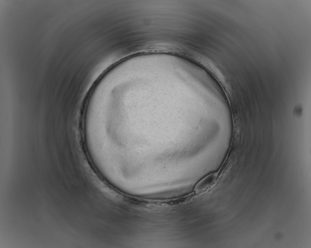 X0000094331091200711241824