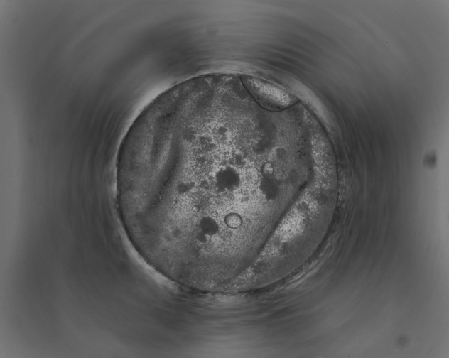 X0000094331095200711241824