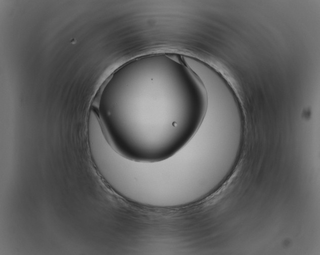 X0000094331097200711241823
