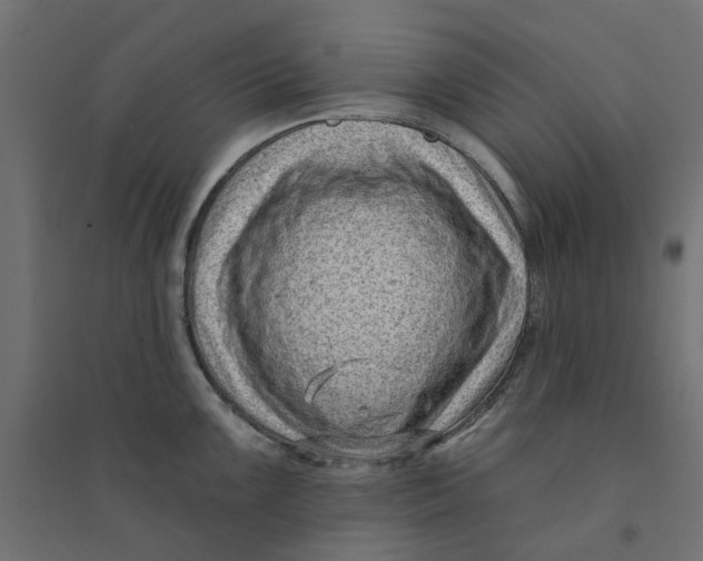 X0000094331099200711241823