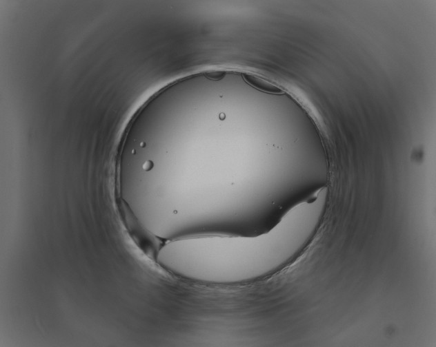 X0000094331100200711241823