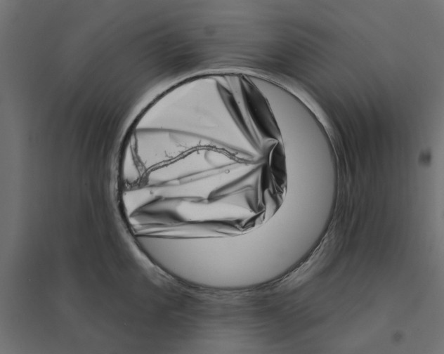 X0000094331101200711241823