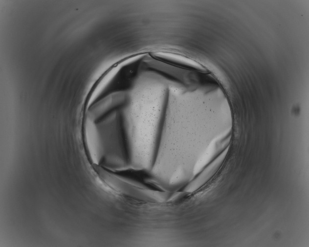 X0000094331102200711241823