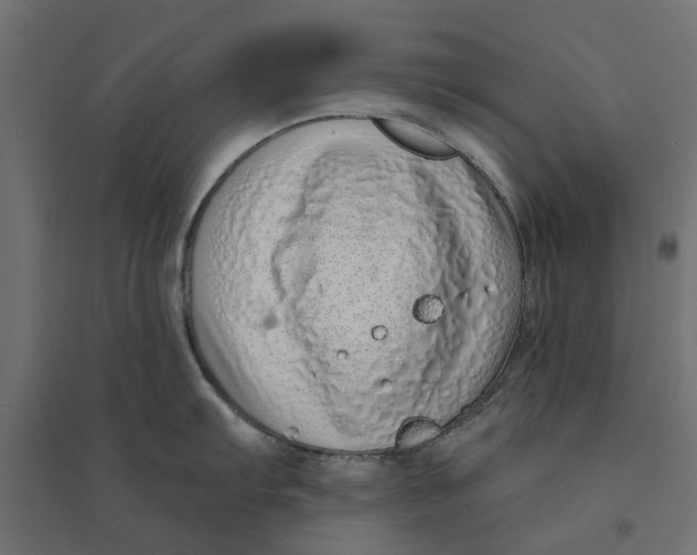 X0000094331103200711241823