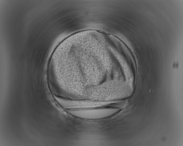 X0000094331104200711241823