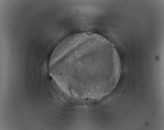X0000094331106200711241823