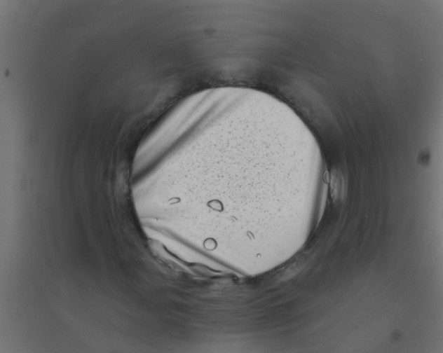 X0000094331107200711241823