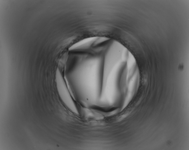 X0000094331108200711241823