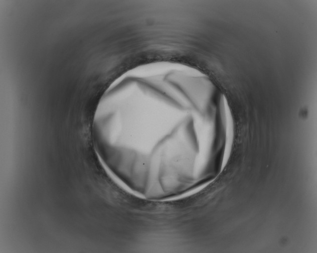 X0000094331109200711241823