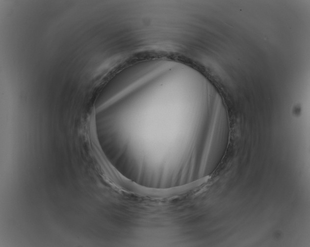 X0000094331110200711241823