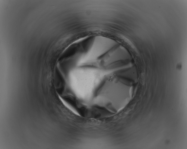 X0000094331111200711241823