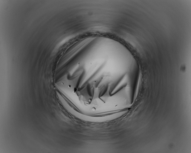 X0000094331112200711241823