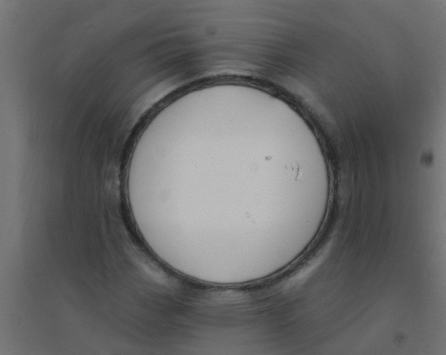 X0000094331113200711241823