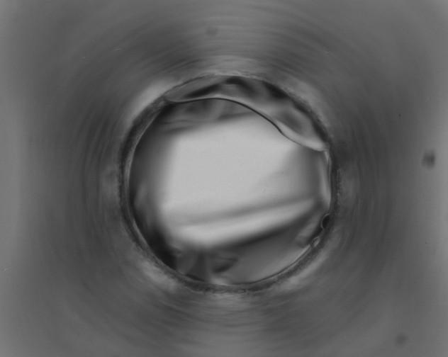 X0000094331114200711241823