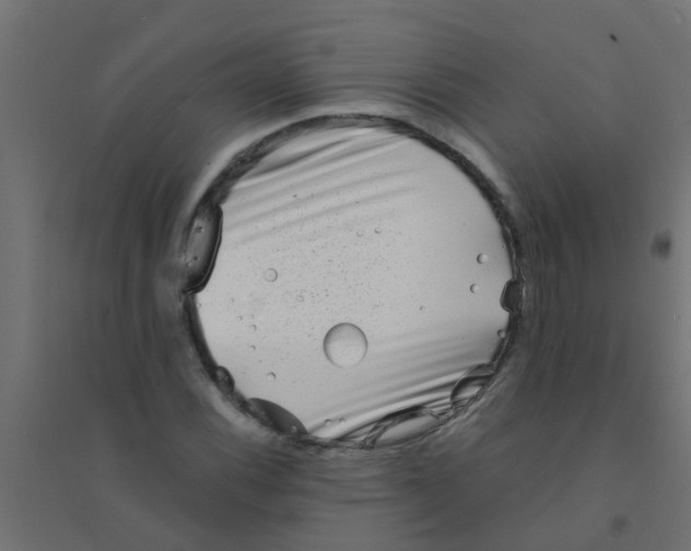 X0000094331116200711241823
