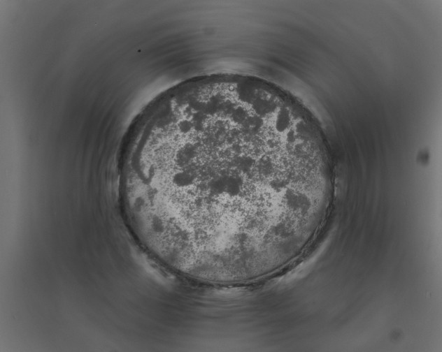 X0000094331117200711241823