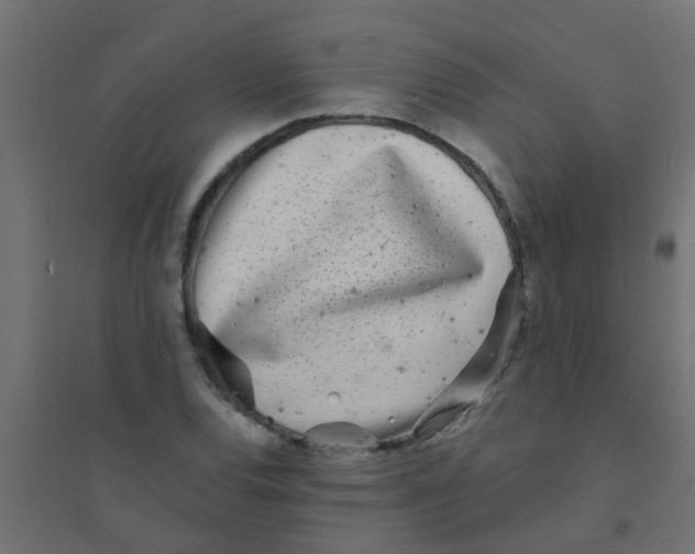 X0000094331120200711241823