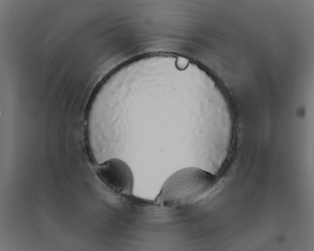 X0000094331121200711241823