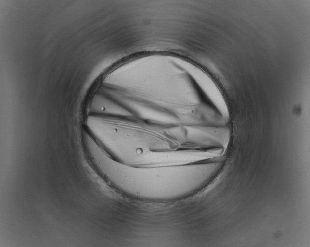 X0000094331122200711241823